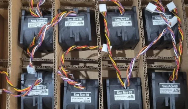 photo 2 2024 12 04 21 44 31