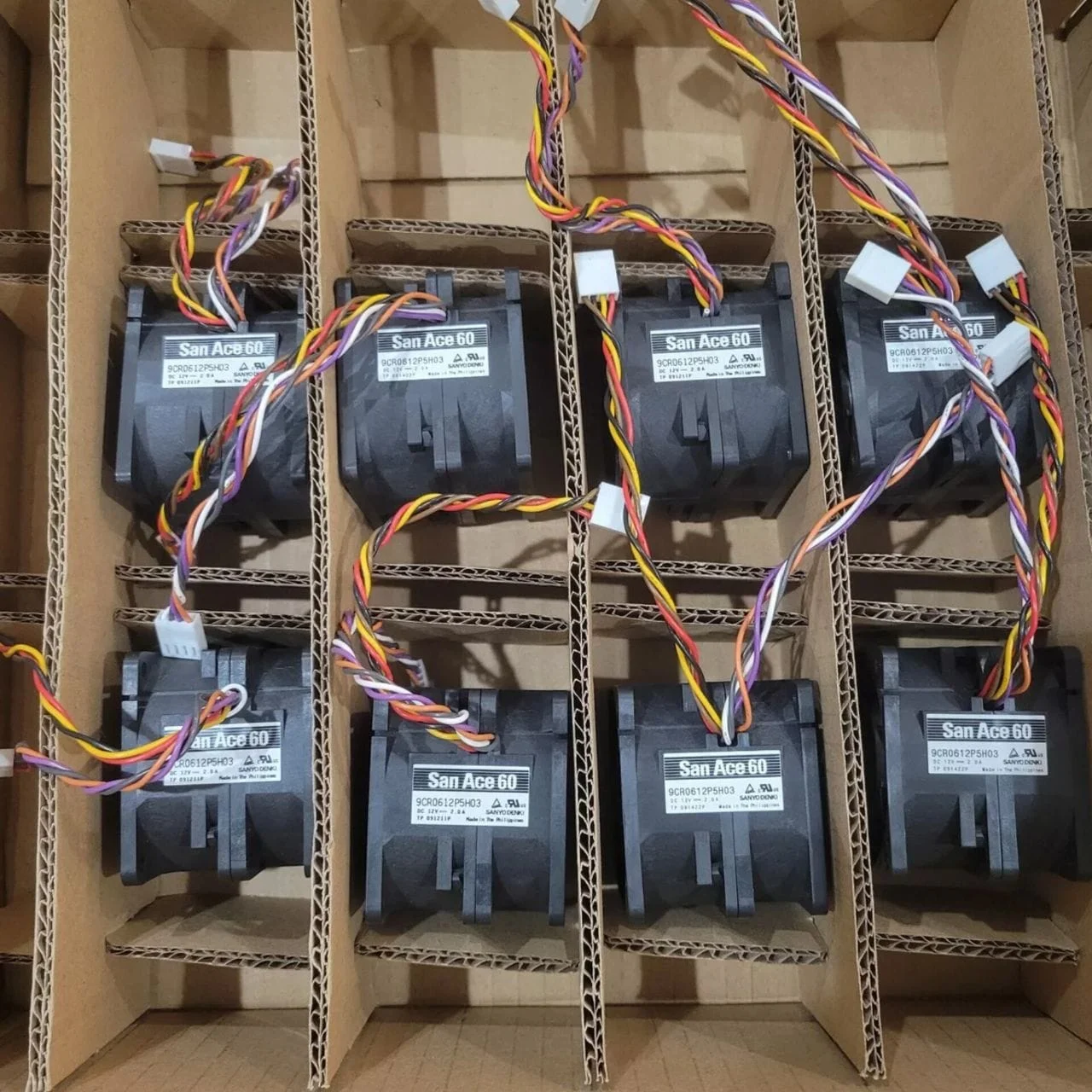 photo 2 2024 12 04 21 44 31