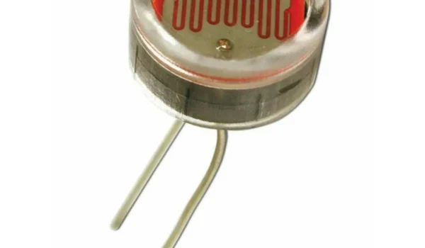 photo 2025 01 31 16 19 38