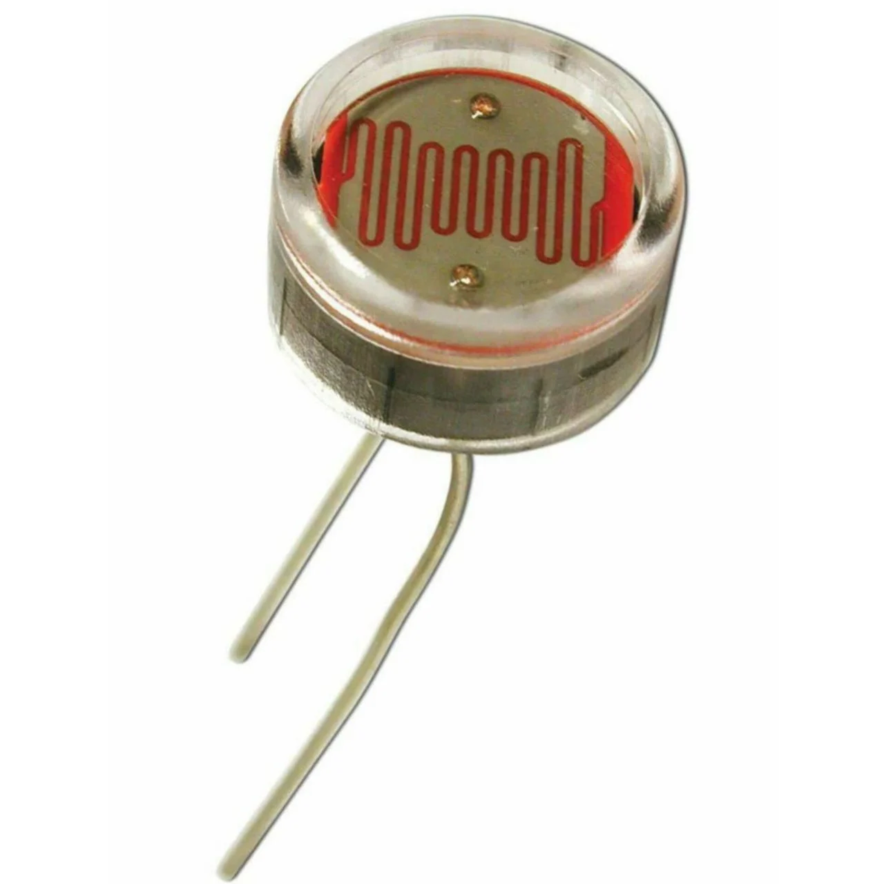 photo 2025 01 31 16 19 38