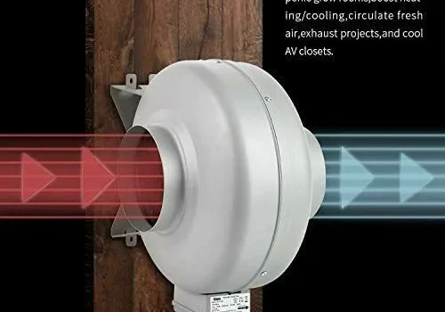 photo 2025 01 31 16 30 56