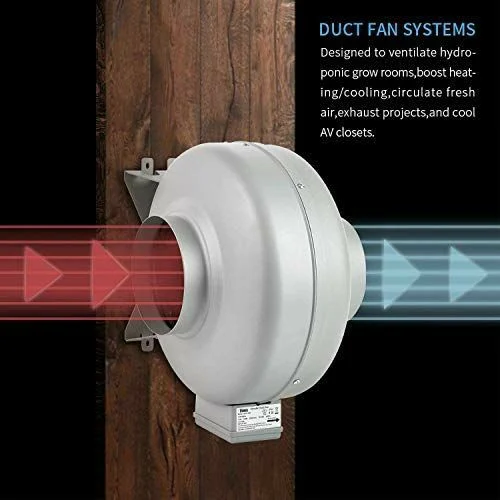 photo 2025 01 31 16 30 56