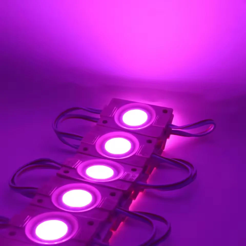 ال ای دی بلوکی COB سکه ای بنفش 20 عددی 1 ال ای دی بلوکی COB سکه ای بنفش 20 عددی